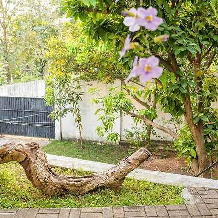 Battaramulla Boutique Villa Sri Jayewardenepura Kotte Exterior photo